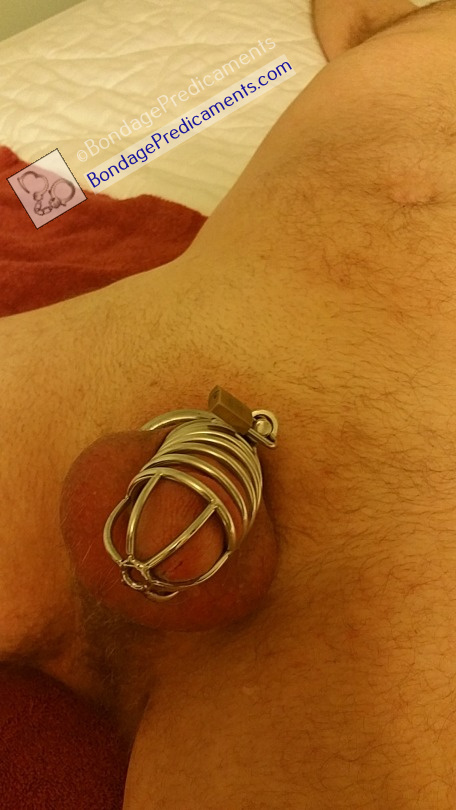 annaleise brown recommends gay bondage chastity pic