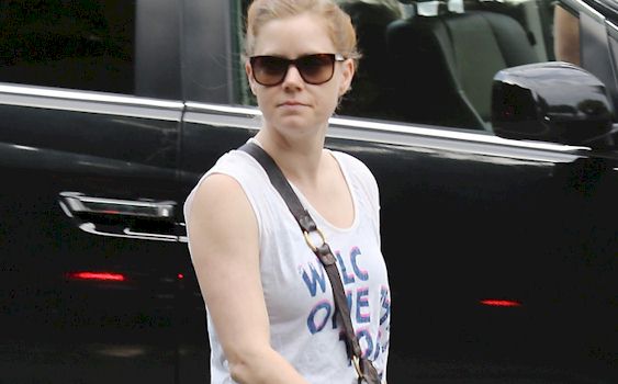 betty hartshorn recommends amy adams camel toe pic