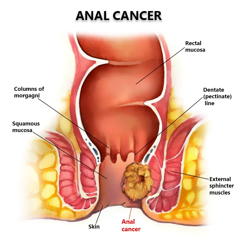 Anal And Swallowing gratis vuxenfilm