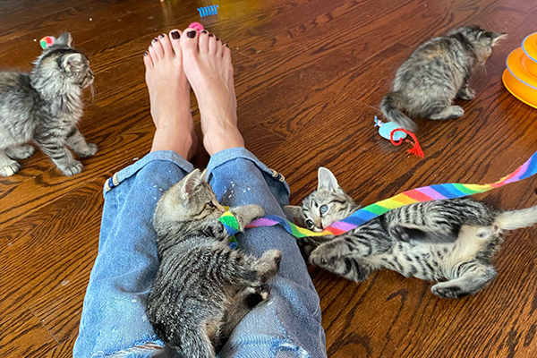 chad fry share simon kitty feet photos