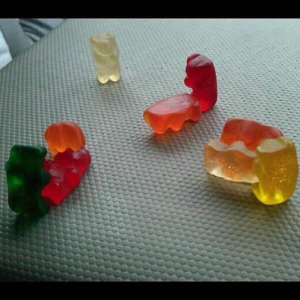 bear orgy