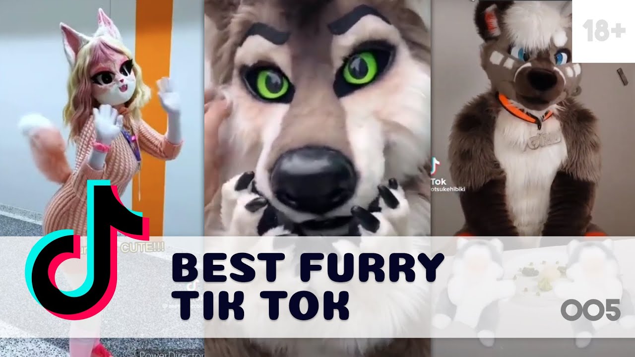 charles d gill recommends best furry porn pic