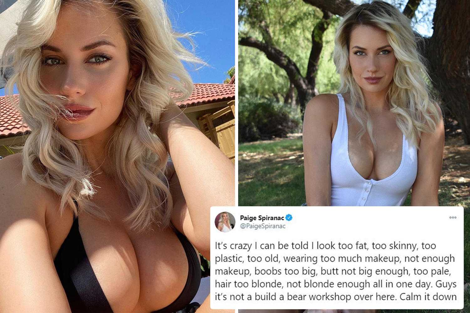 danielle cicchetti recommends Big Boob Blonde Pics