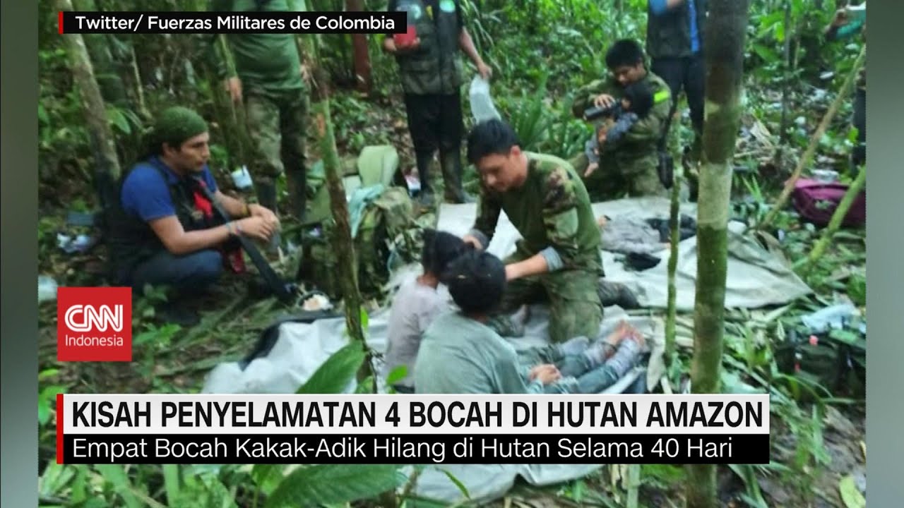 becca reeves recommends Bokep Di Hutan