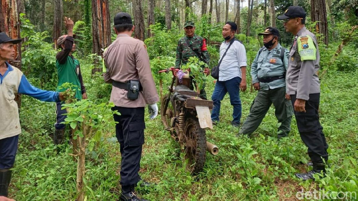 andrian tio share bokep di hutan photos