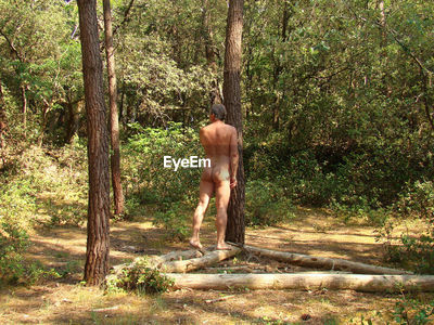 ahmad serafi recommends Naked Men In Forest