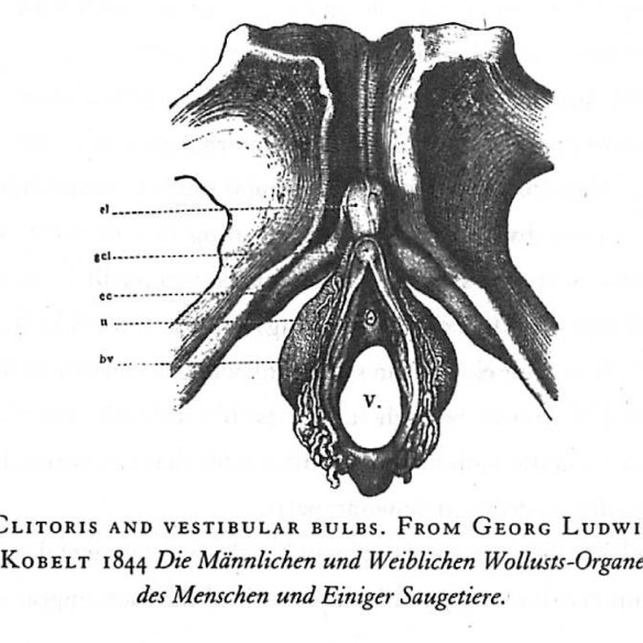 Best of Beautiful clitoris