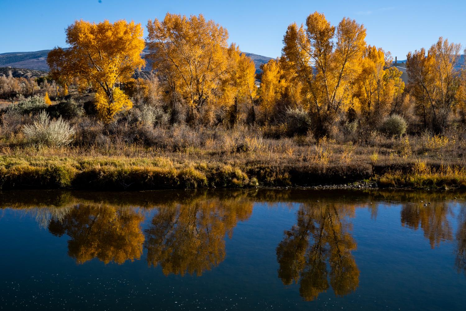 barry myburgh recommends Colors Of Autumn Leaked