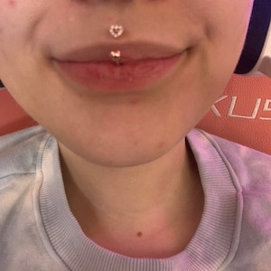 brandon trejo recommends smallest medusa piercing pic