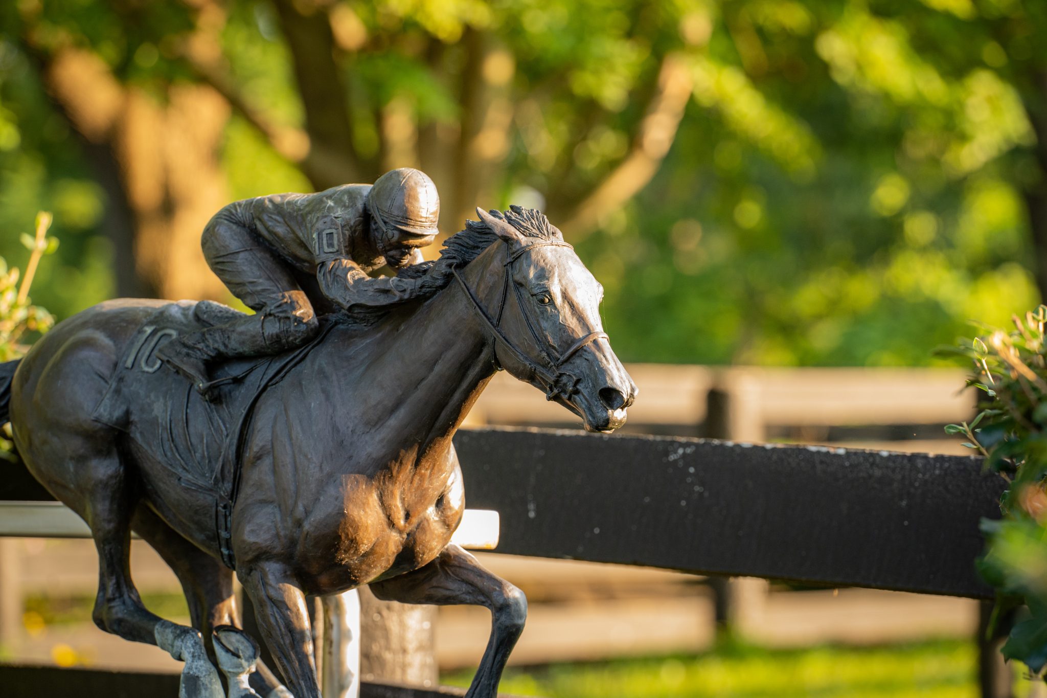 ashley cash add photo daisy taylor riding