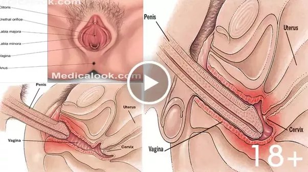 amy smith cook recommends Does Double Penetration Hurt