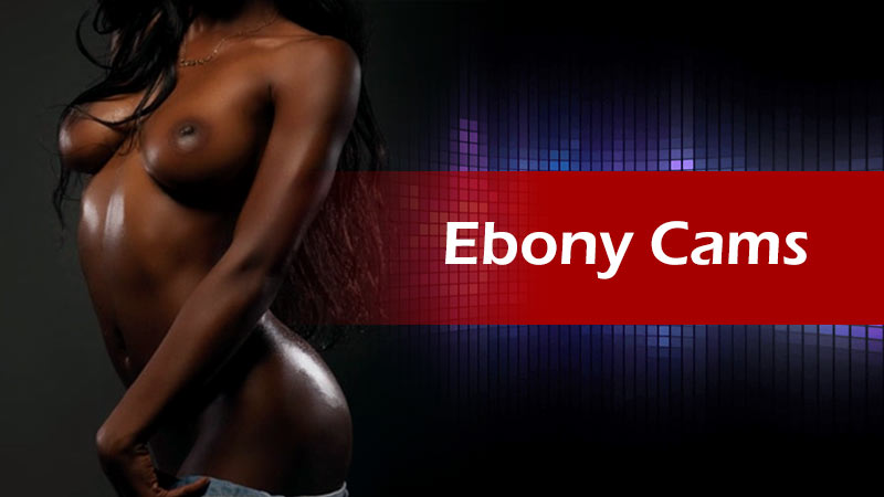 cesar gabriel recommends Ebony Cam Strip