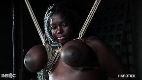 beatrice schneider add photo ebony in bdsm