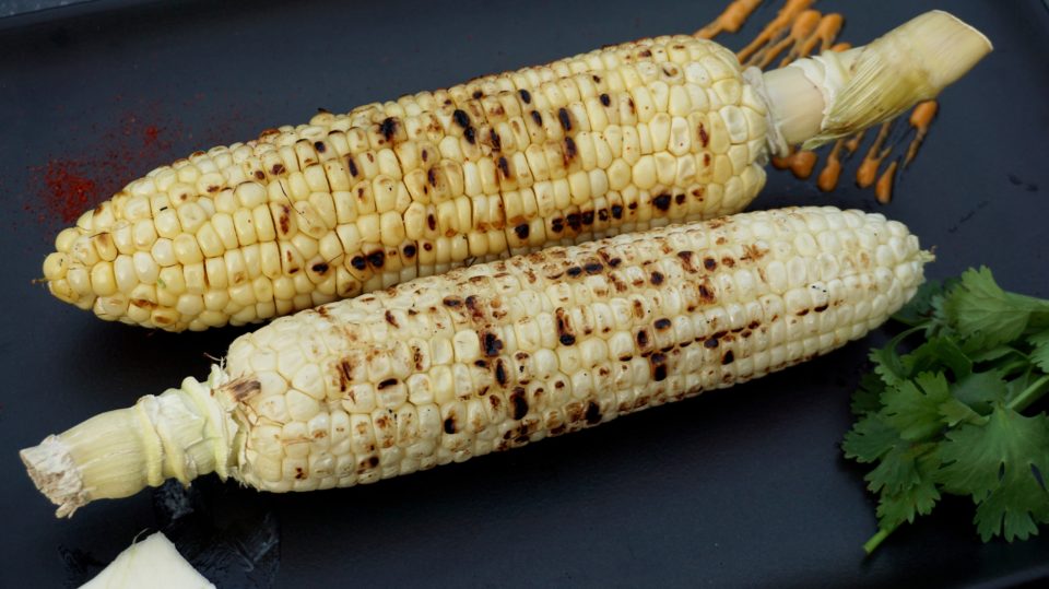 porn with corn