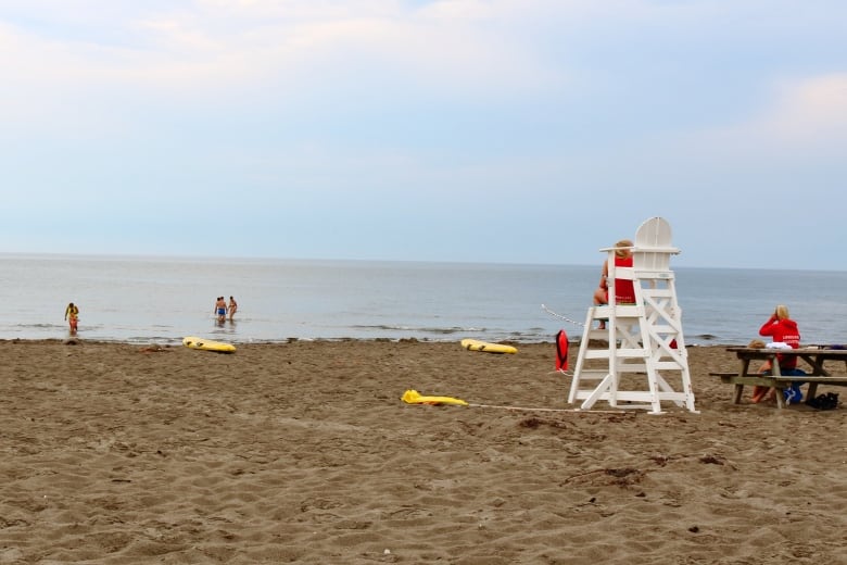 brad shaffer recommends fun on nude beach pic