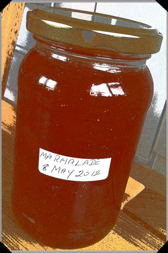 brian schoeler recommends may marmalade pic