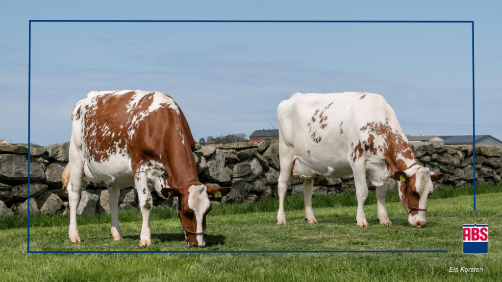 chris grimaud recommends Crossbreeding Assistance