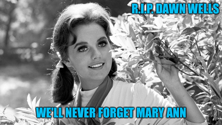 Best of Dawn wells porn