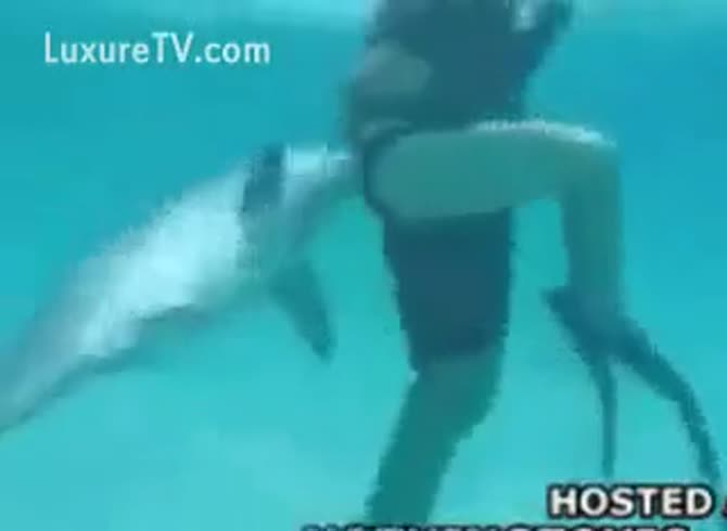 female dolphin porn