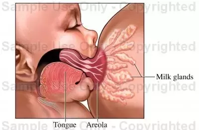 bryan camporedondo recommends Guy Sucking Tits