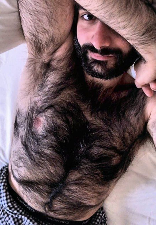 donald turner jr recommends Hairy Men Pictures