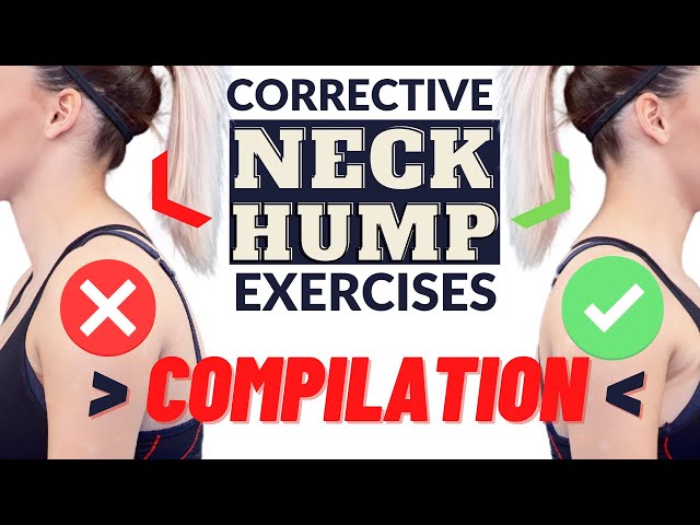 darlene ferrin recommends Hump Compilation