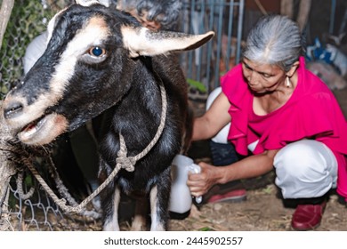 carolyn forder recommends milking latina pic