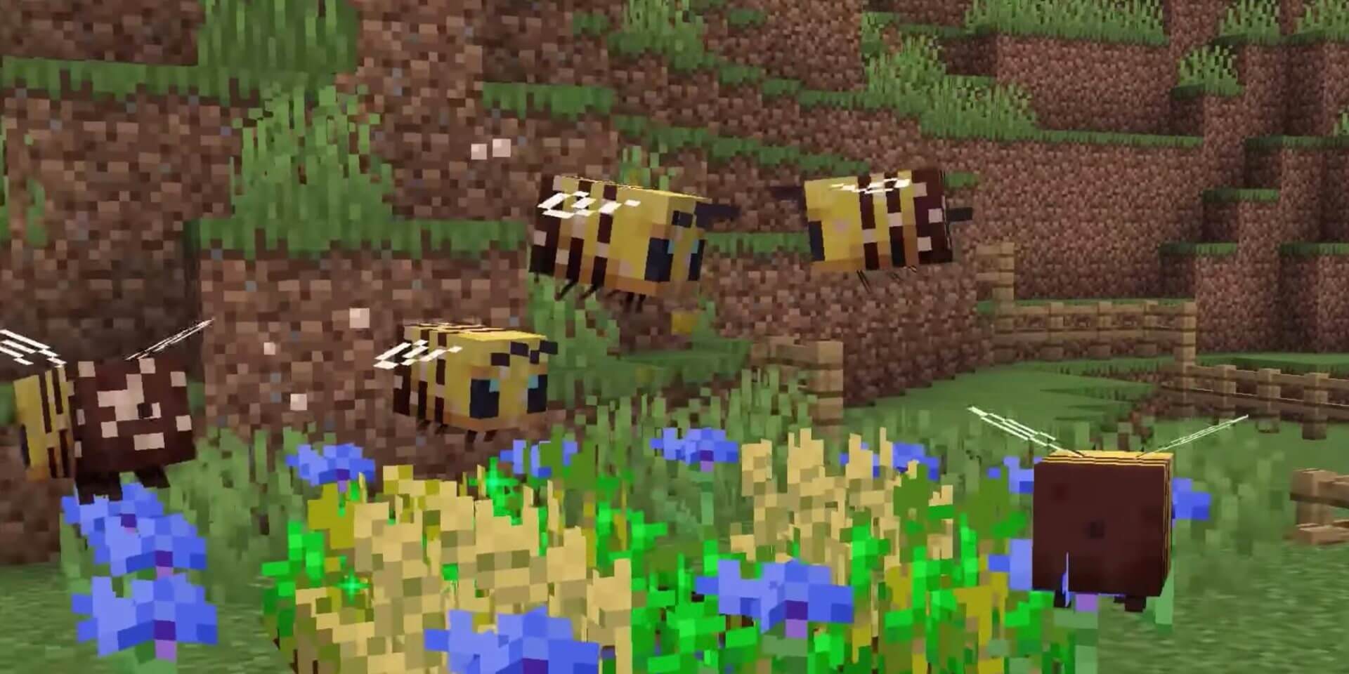 asmaa bio recommends minecraft bee porn pic