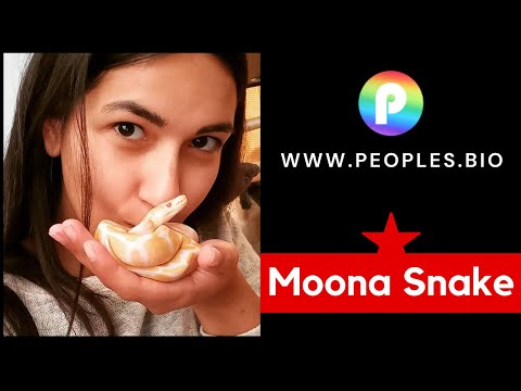 Best of Moona snake