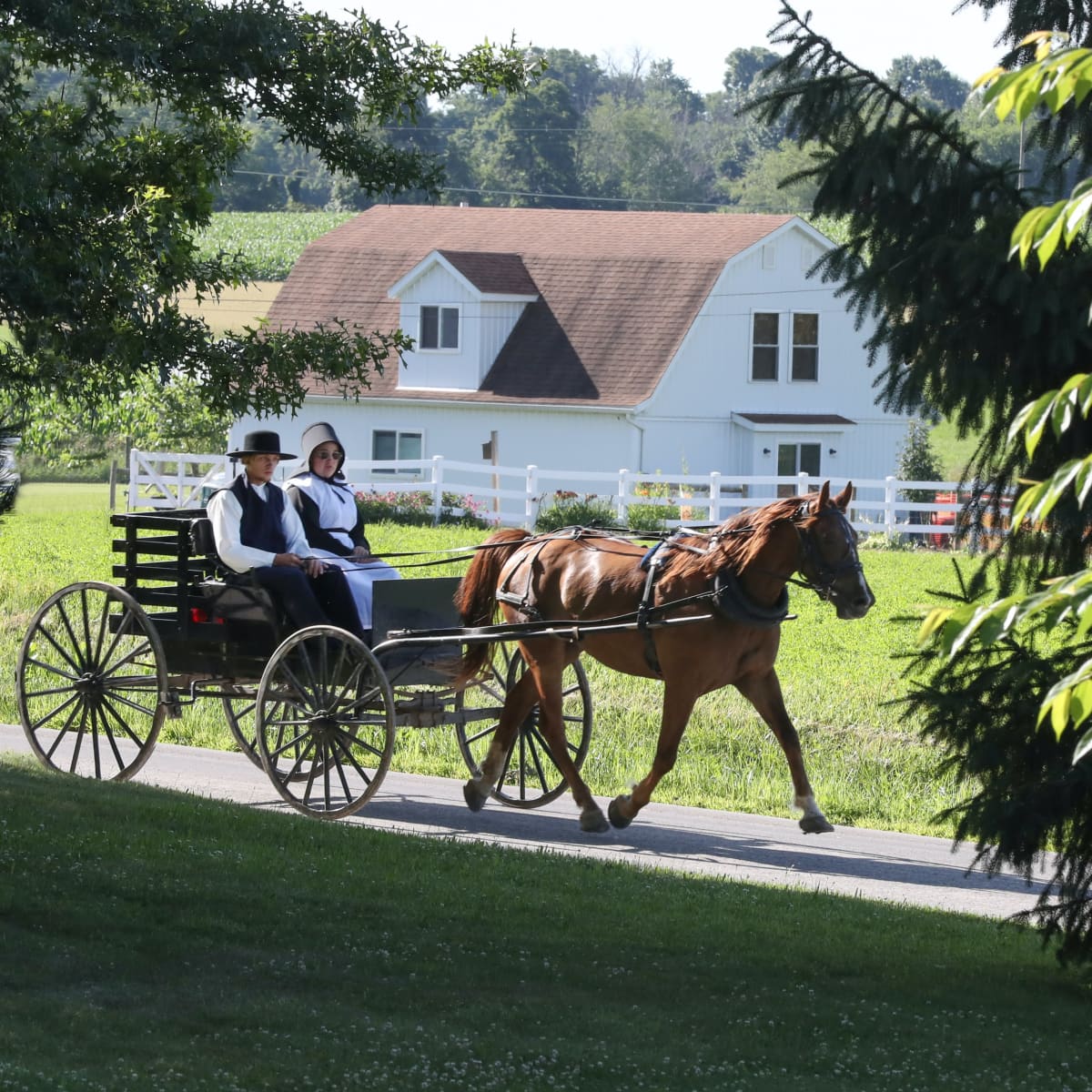 Best of Naked amish man