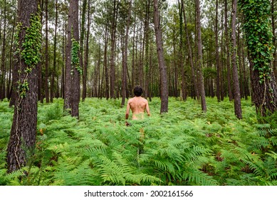 christine nitti recommends naked in forest pic