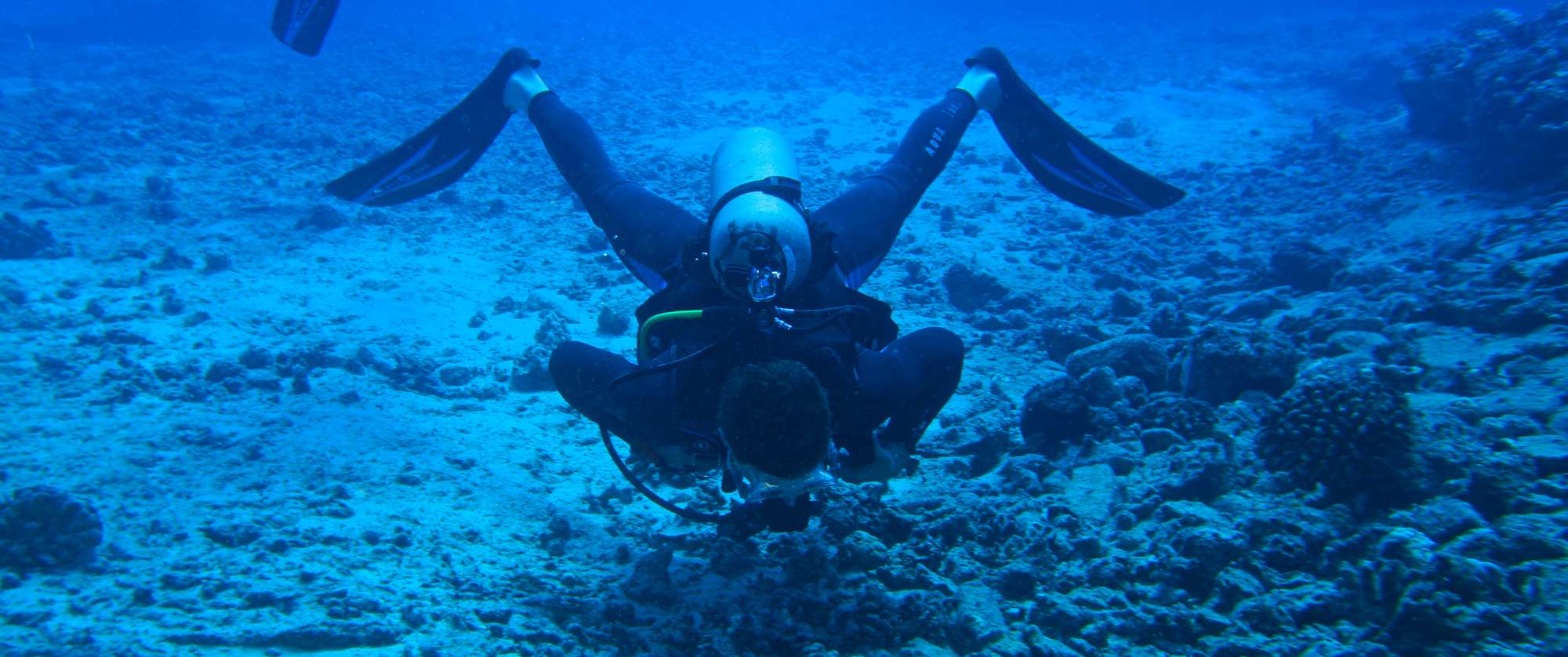 Naked Snorkeling vid reddit