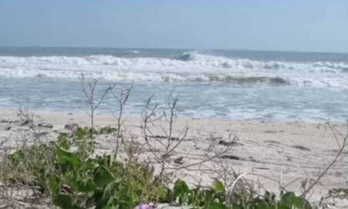 Nude Women Walking On Beach booty tribute