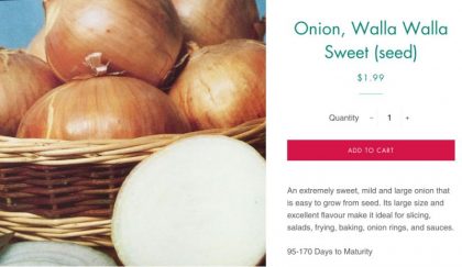 dawn thorp recommends onion tits pic