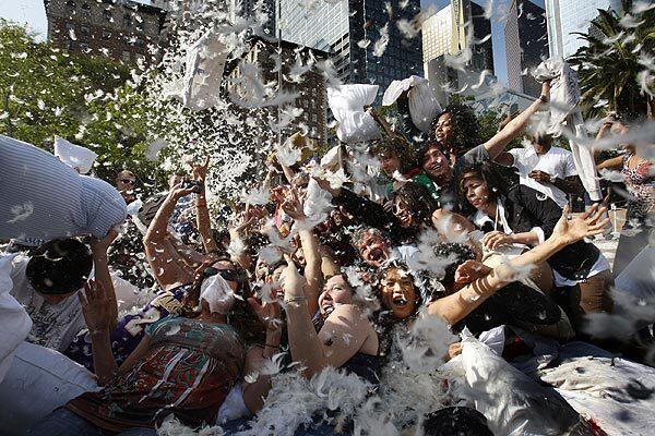 caroline fregeau recommends strip pillow fight pic