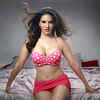 andrew siaw recommends sunny leone prone star pic