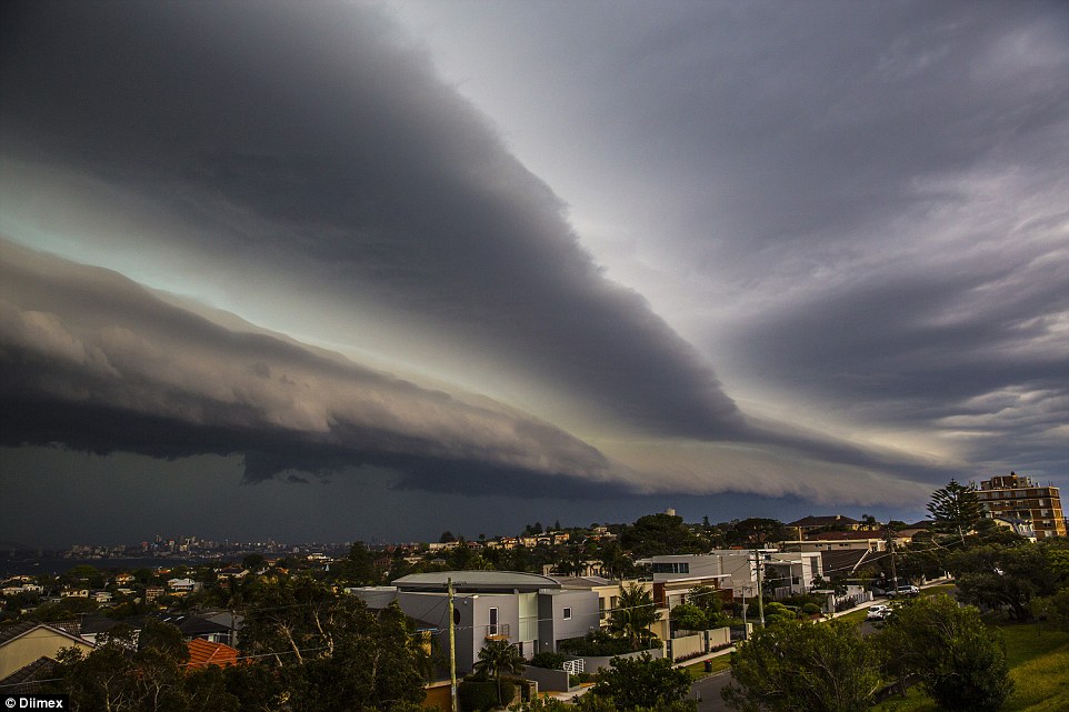 ade chandra wijaya add sydney hail porn photo