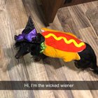 carol helmer recommends the wicked wiener pic