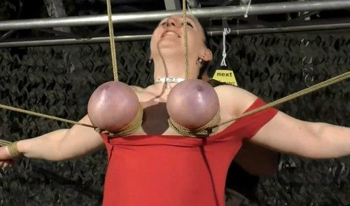 harness gag hogtie