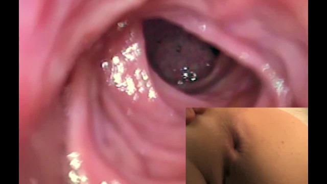 Best of Vore pov porn