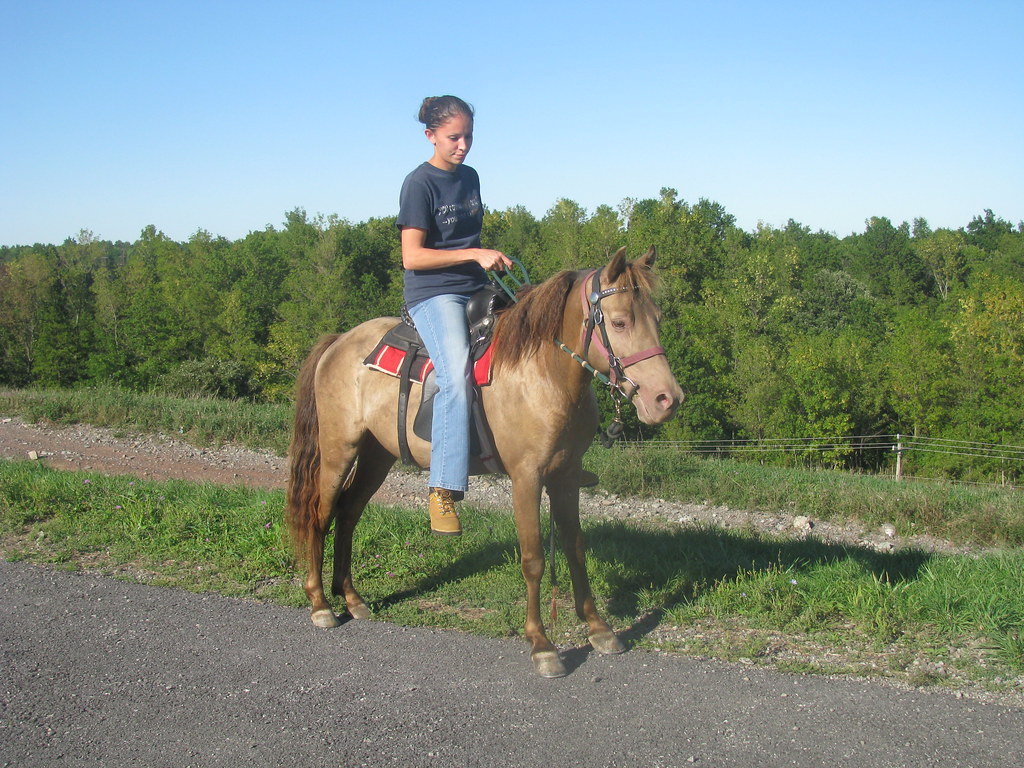 dan herndon share wife riding me photos